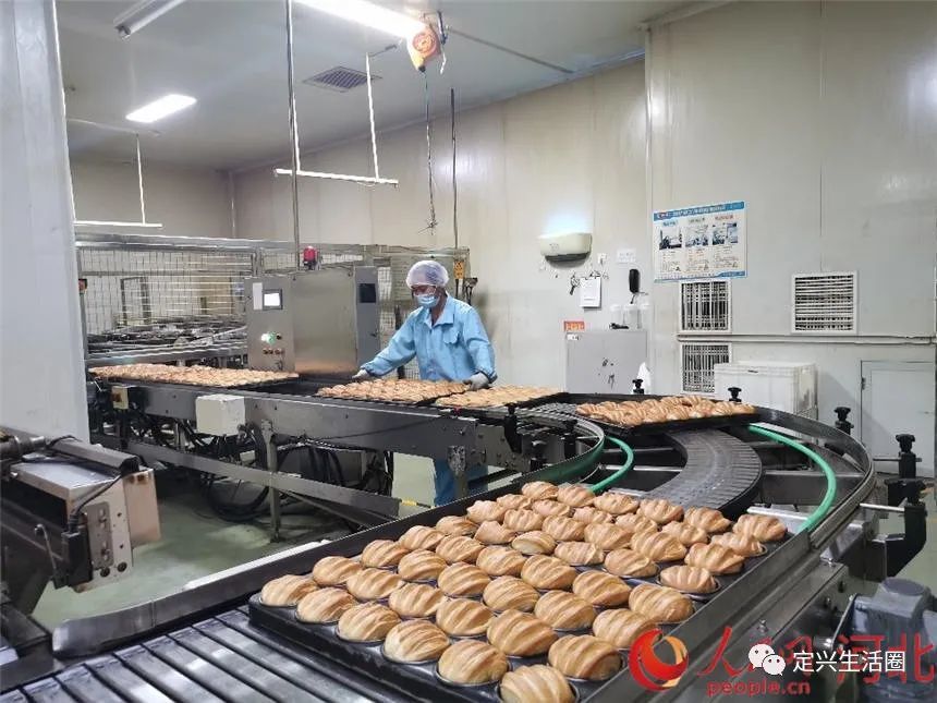 食品生产厂家：产业动态与技术创新