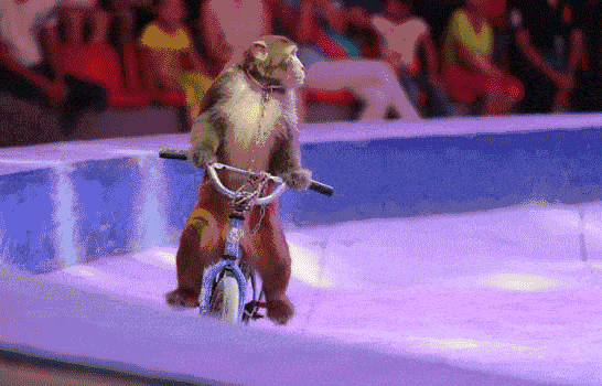 猴子|托马斯·亨利·赫胥黎|巴拿马猴