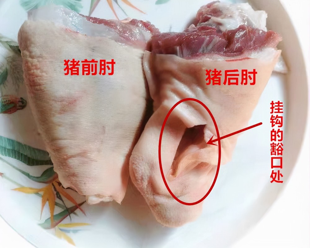 买猪肘子要分清前肘和后肘做菜差别大别买错浪费钱