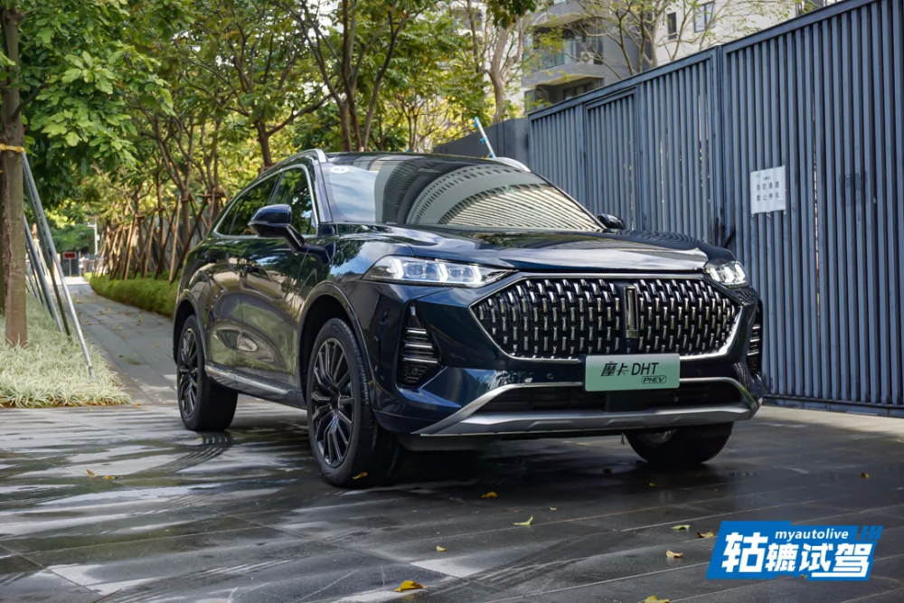 大只500官网-大只500代理-大只500官方平台