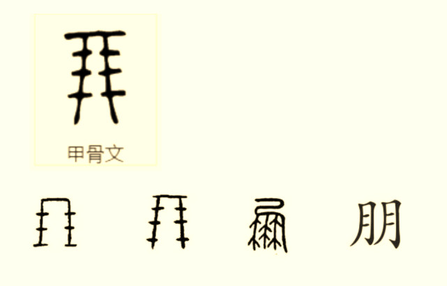 漢字|甲骨文|詞語|象形文字|貨幣