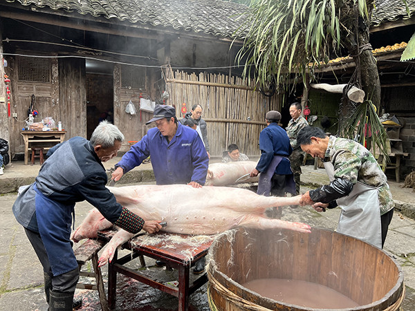 村里最后的杀猪匠:从业四十年,手艺恐已无人继承