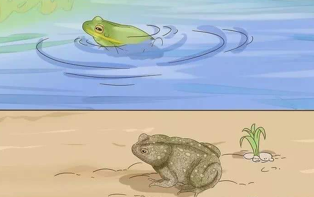 腾讯内容开放平台