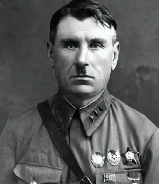 苏联将军斯捷潘在自家阵地上被地雷炸伤坐飞机遇到坠机