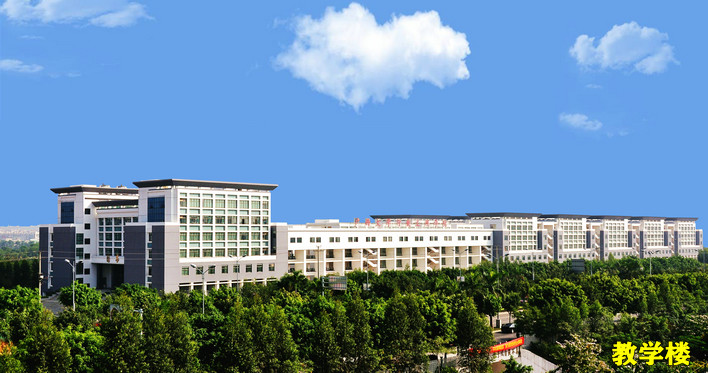 广西大学行健文理学院会计学专业本科简介