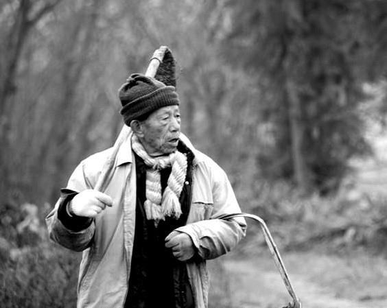 拾粪的老农不徇私情,亲自躬身捡粪为了参加革命,何德全十几年没回过