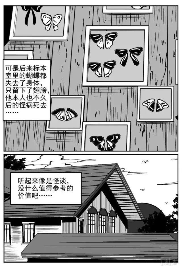 人性暗黑漫画翅膀上长着女人脸的鬼蝴蝶