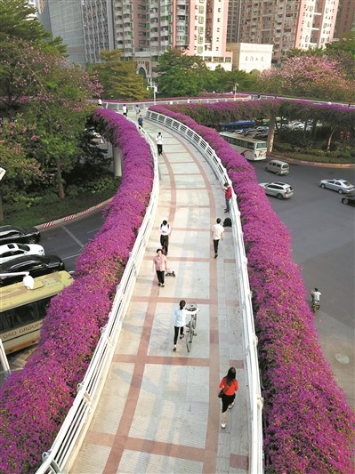 广州建成300多座人行天桥