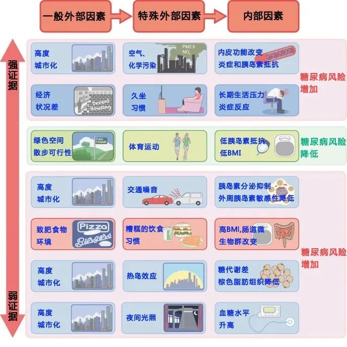 一张图告诉你环境因素对糖尿病的影响有多大
