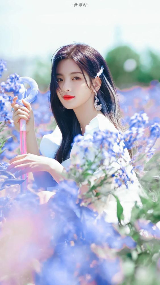 杨超越壁纸 腾讯网