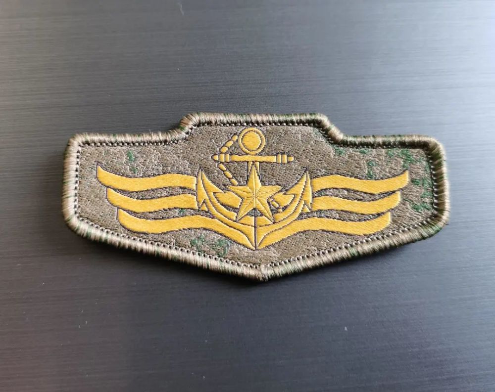 解放军海军陆战队臂章图片