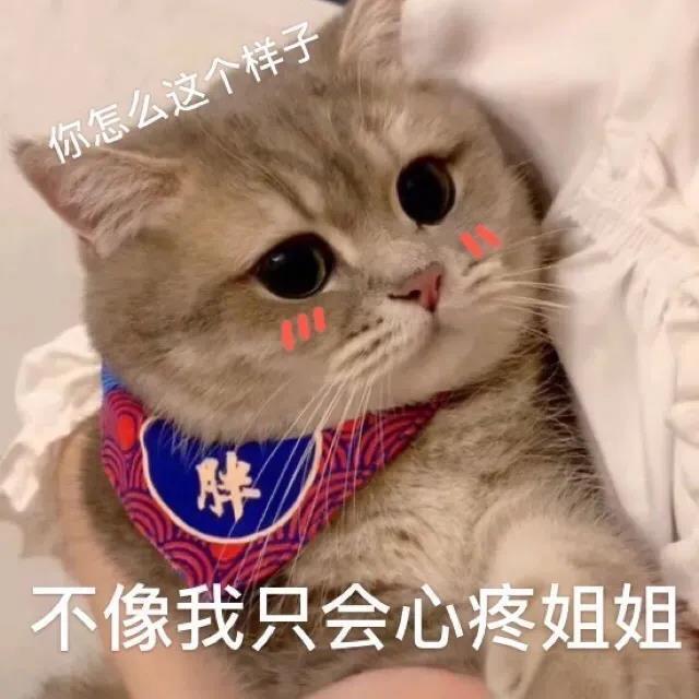 搞笑表情包只有我会心疼姐姐