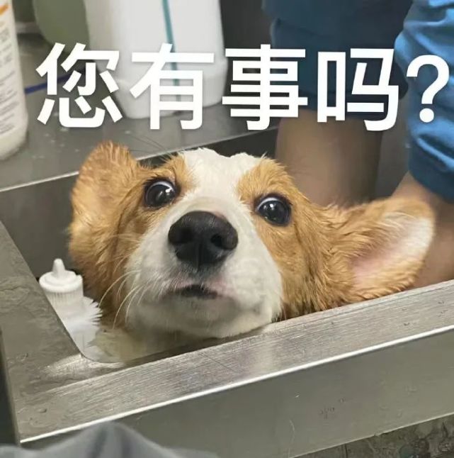 您有事吗?