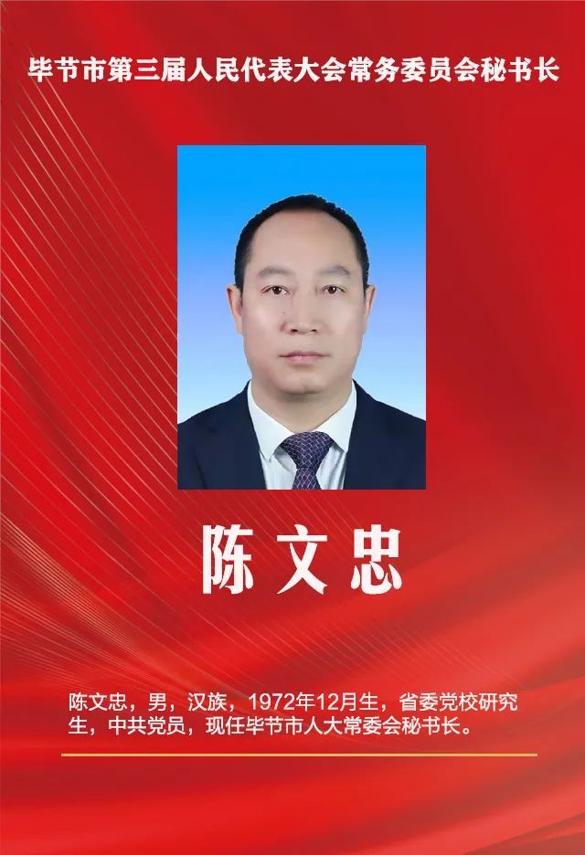 毕节市第三届人民代表大会选举结果