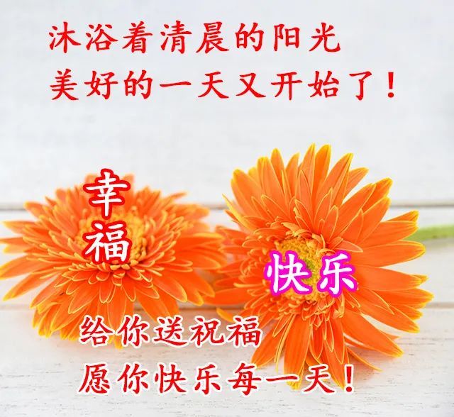 1月11日 早上好!