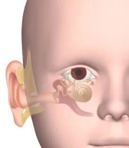 一女子中耳炎拖延成脑脓肿孩子感冒后两个动作是在求救