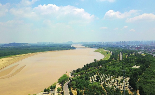 济南黄河生态草坪基地图片