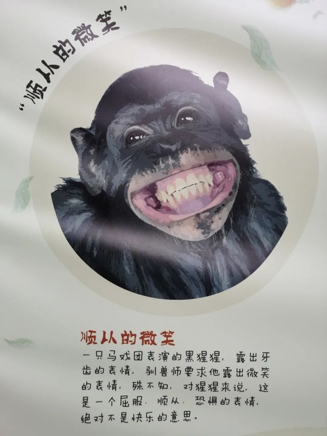 敏捷的三个中心再谈buffer