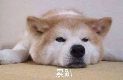 表情包我打电话告诉你妈妈