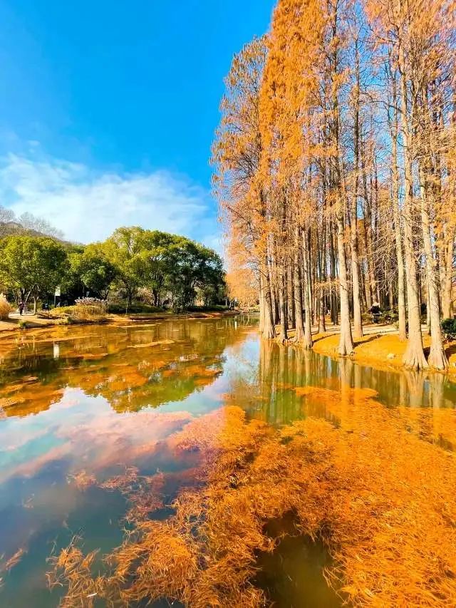 无锡太湖冬天的景色宛如一个沉淀着各色梦想的天堂