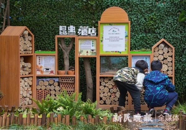 "昆虫酒店"亮相黄金城道