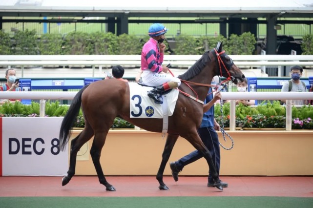 聚星马粮快讯香港赛马会新冠阳性确诊者为新剑侠赛马团体成员