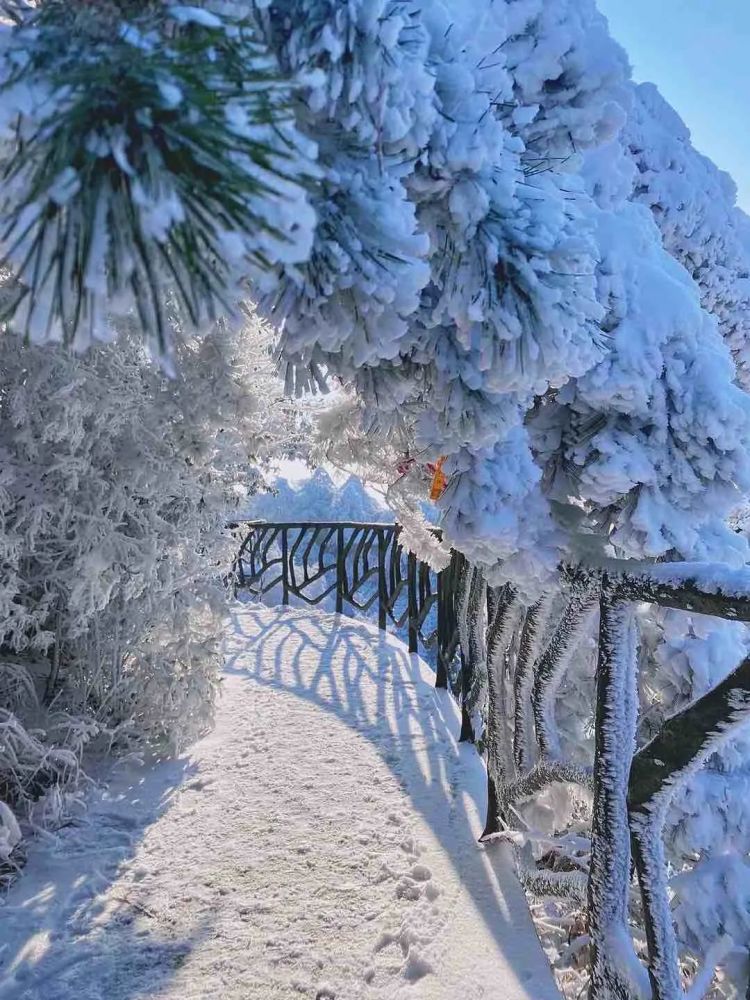 我喜欢灵山冬天的样子因为