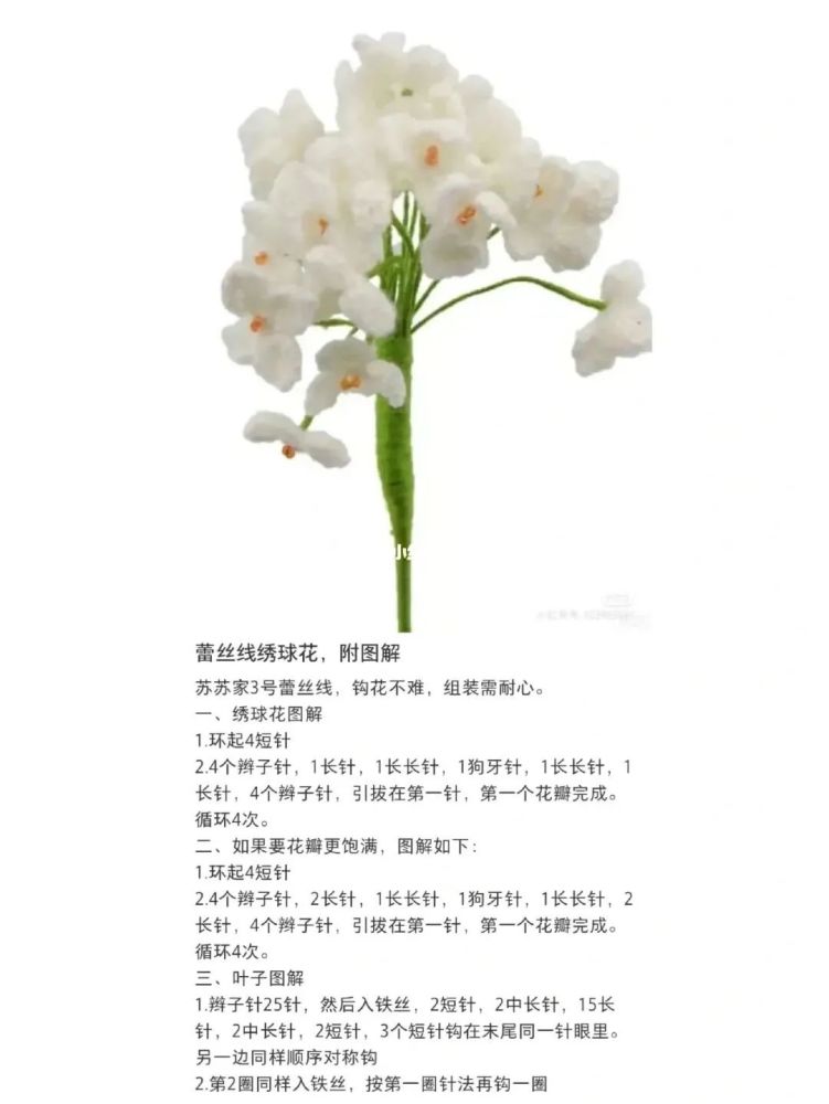 波斯菊的钩法图片