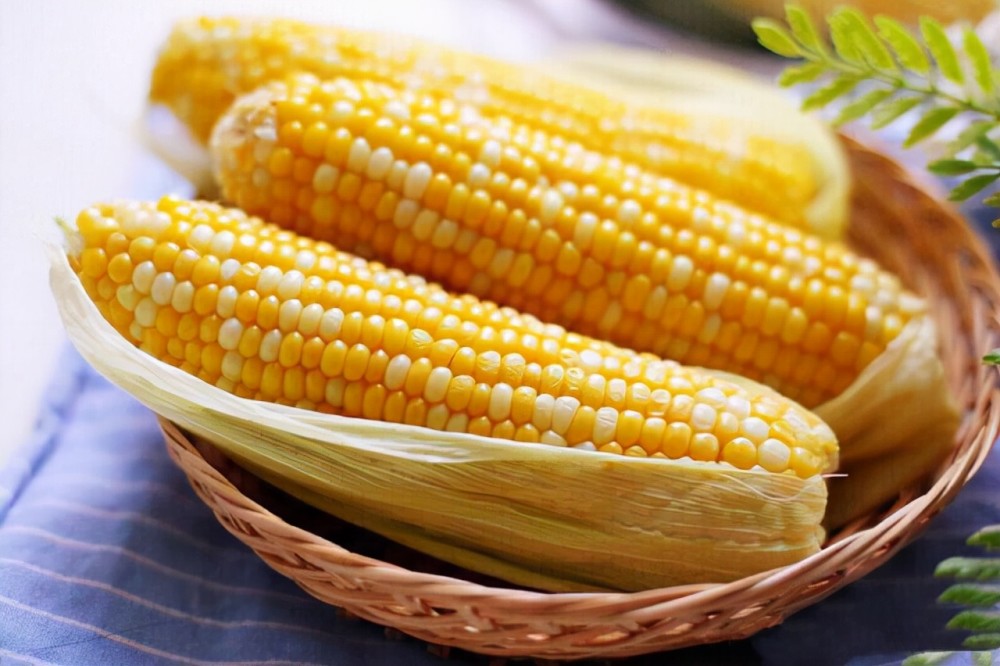 玉米也能做出“年夜饭”大餐，这7种做法太香了，有荤有素，好馋呀！