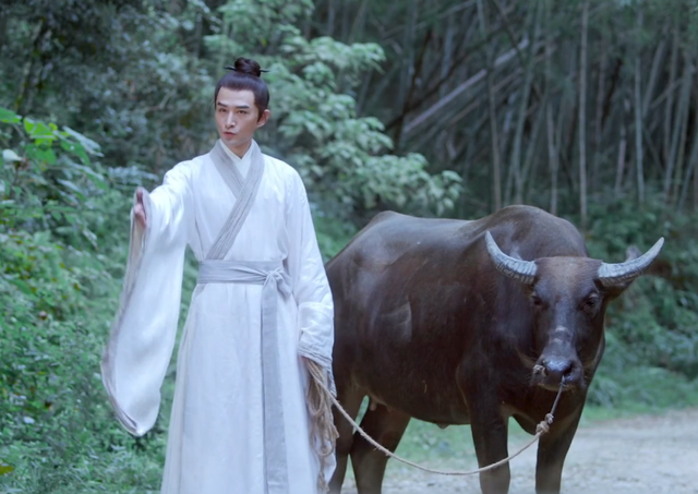 雪中悍刀行洪洗象才是隐藏的boss实力碾压王仙芝李淳罡