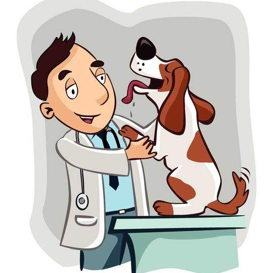 盘点来啦2021年出台的兽医相关政策