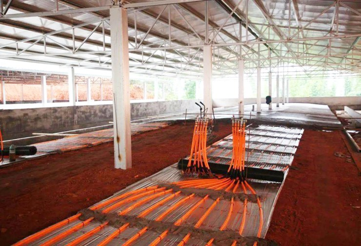 高床饲养环保又省力