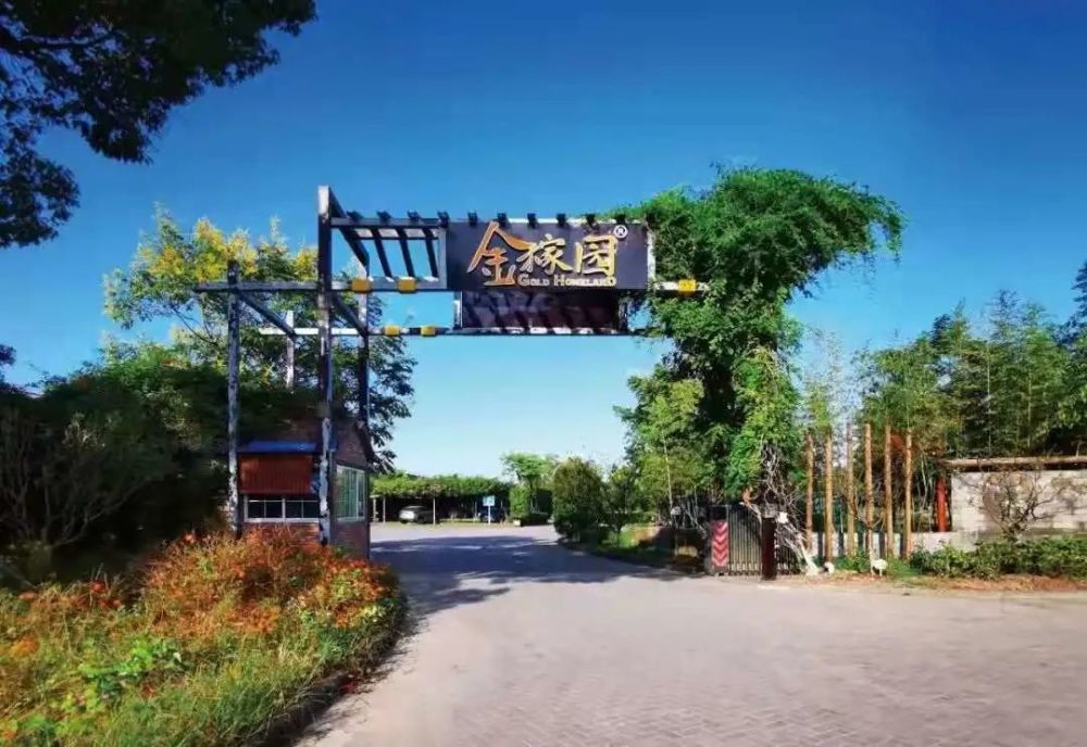 金稼园游玩套餐>>民宿体验券 >>虽然形式一直在变年味一直在创新可不