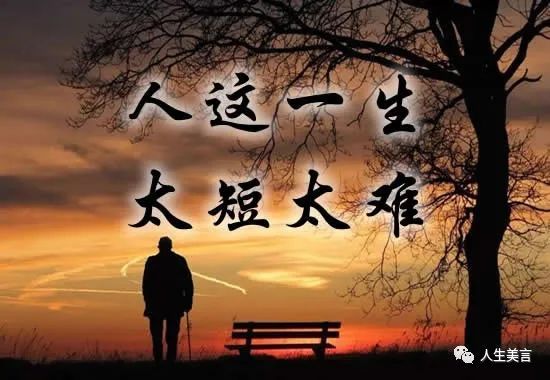 人这一生太短太难