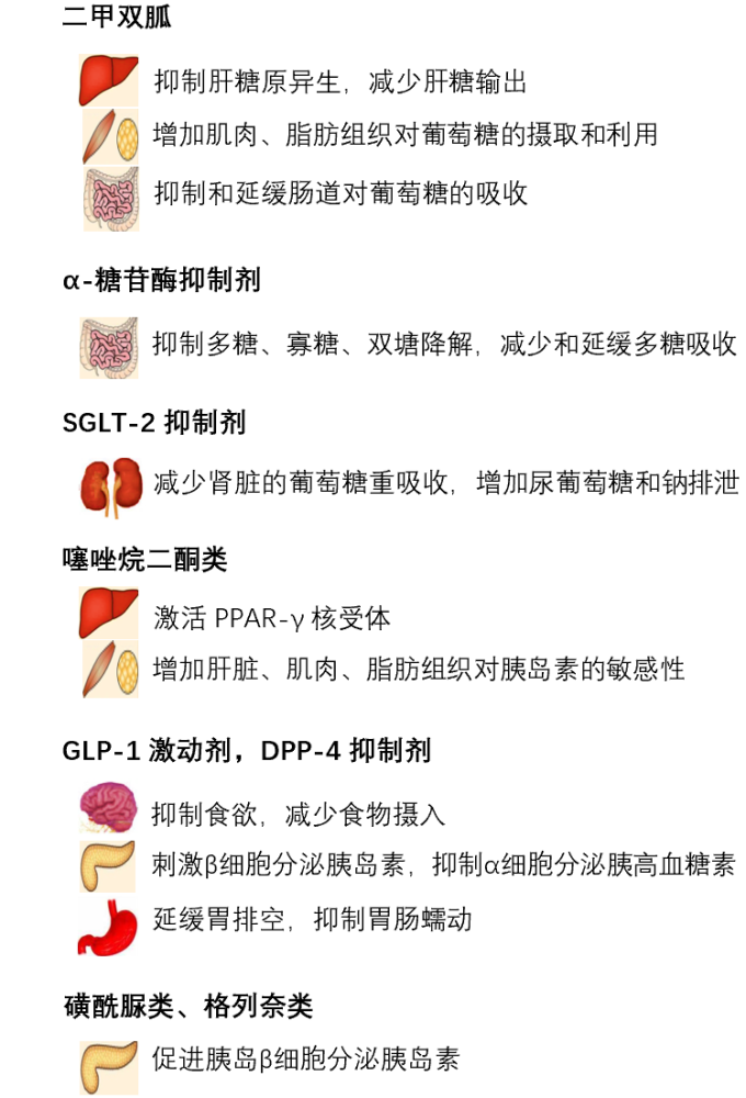 二,非胰岛素类降糖药的作用机制和靶器官糖尿病是一种长期慢性疾病