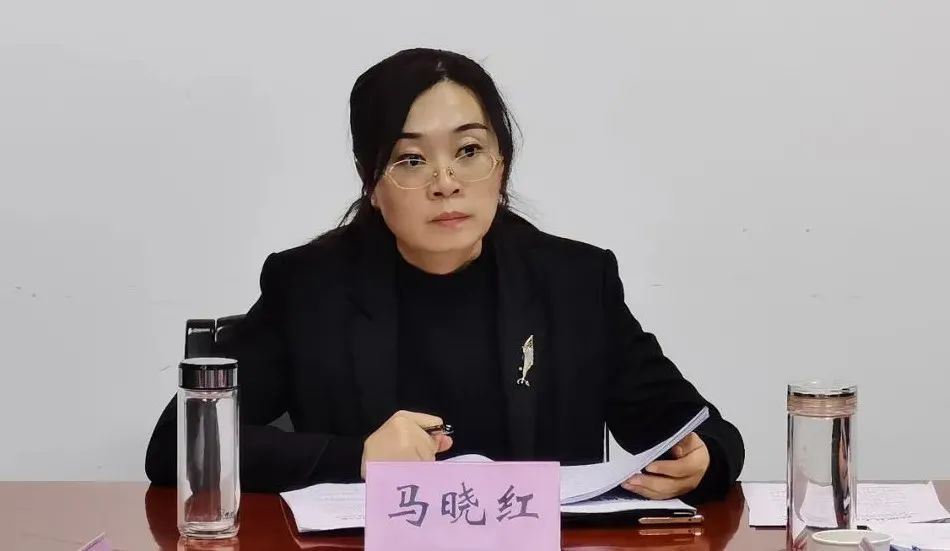 县人民政府党组召开党史学习教育专题民主生活会会前学习研讨会