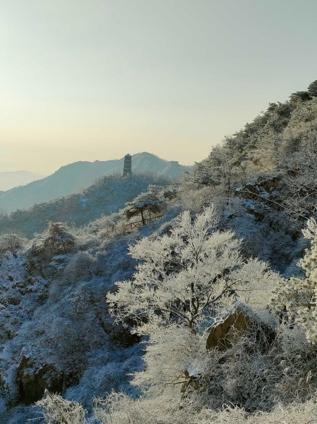 韻味|齊魯壹點情報站|日照|山頂|日照大青山|霧凇奇觀|大青山風景區