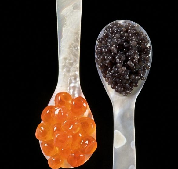 鲟鱼卵鱼子酱更极品原是法国人所定结果中国产量超全球六成