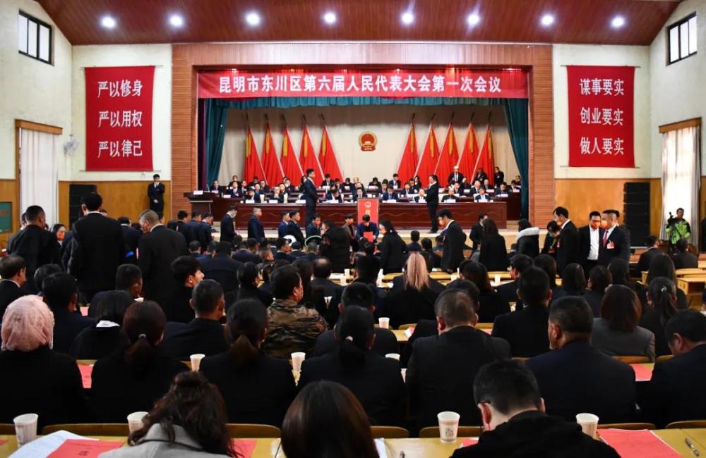 副主任,委员;东川区人民政府区长,副区长;东川区监察委员会主任,东川