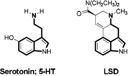 致幻剂:精神疾病治疗的新希望?