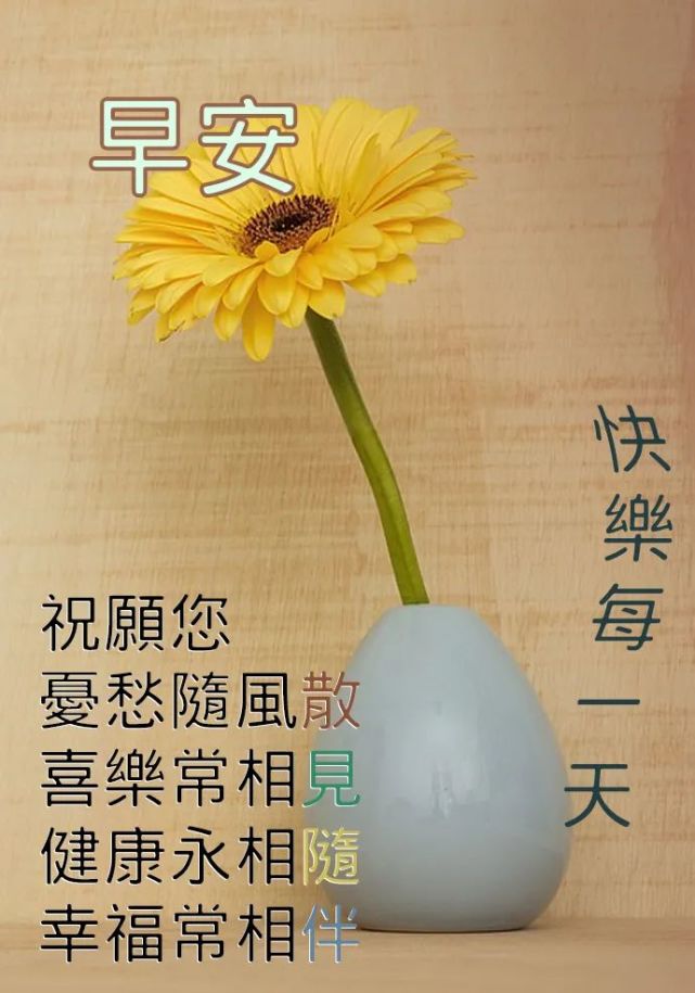 每日早安問候語早上好祝福表情圖