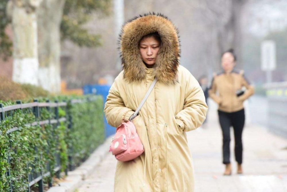 党风杂志杨晓萍只需要选羽绒服冬季优雅羽绒服显老少