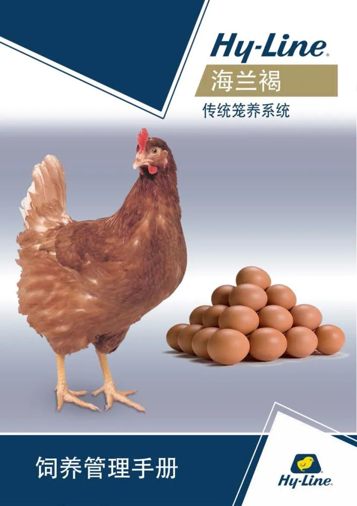 海兰褐商品代蛋鸡2021新版饲养管理手册——传统笼养系统_腾讯新闻