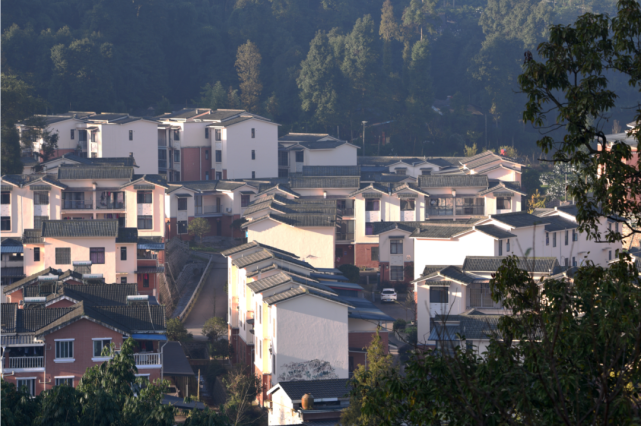 朝阳湖镇闻令而动蒲江吹响了"八大提升行动"集结号新年伊始鼓点催征急