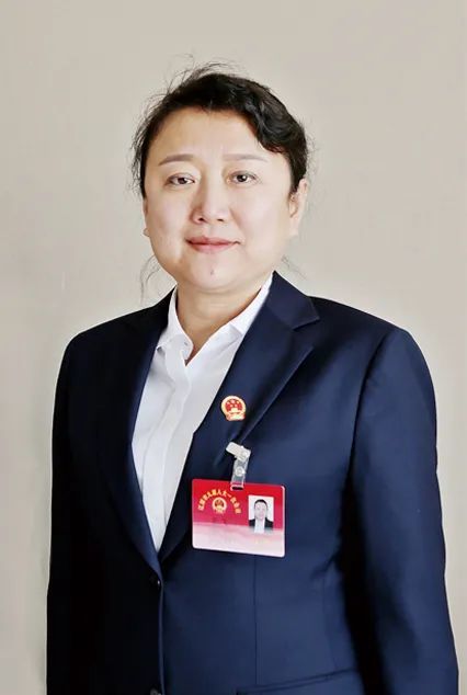 访市人大代表,东辽县县长 王飞不断开创魅力东辽新局面加快建设