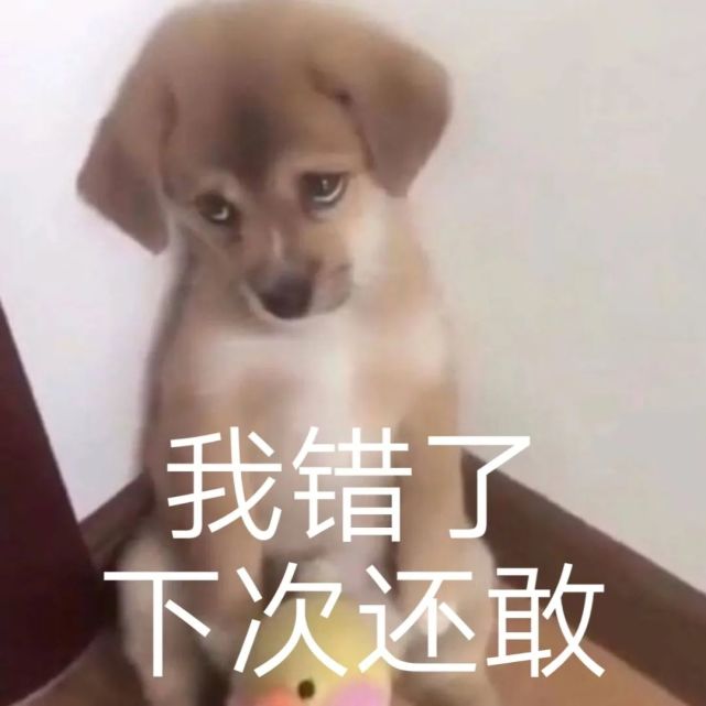 果子寻思,什么时候 360 这个臭名昭著的大灰狼,也装起人畜无害的小