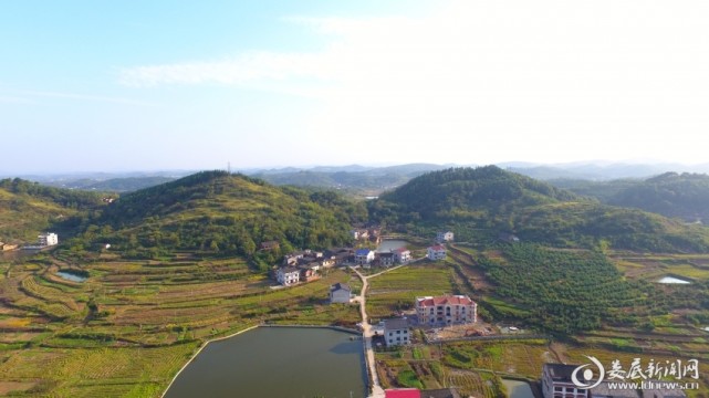 青树坪镇全力推动林长制落地见效