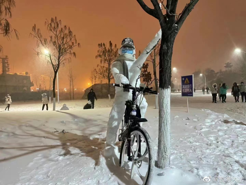 堆了這麼多年雪人,才知道下雪了還能這樣玩!_騰訊新聞