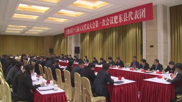 市县领导程雪涛,张怀科,何逢阳,姚飞,吴立新,张圣涛等参加审议.