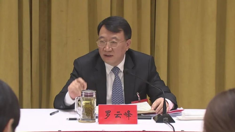 争做合肥跨越赶超的奋进者贡献者罗云峰参加肥东县代表团审议